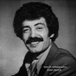 Müslüm Gürses